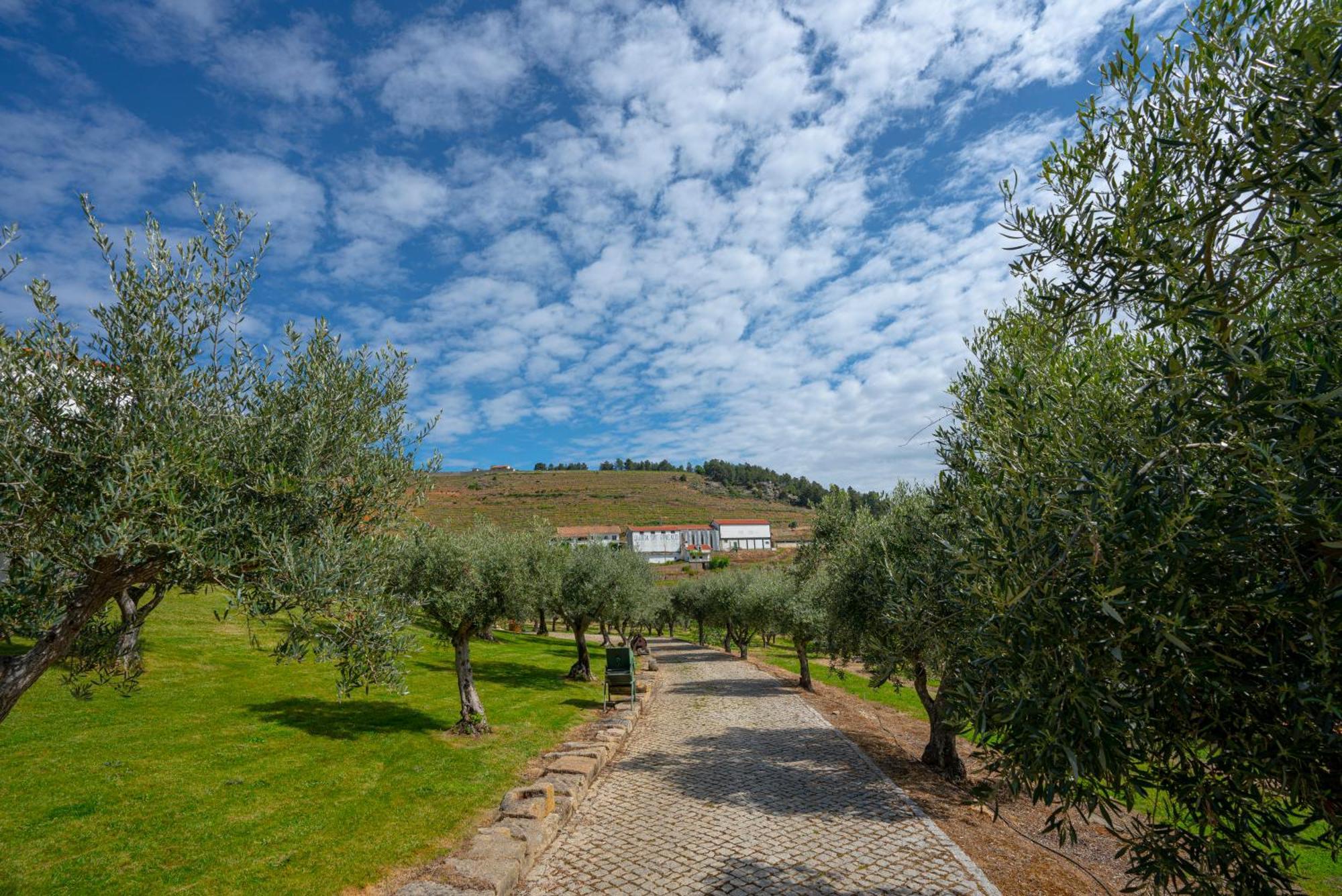 Valonquinta - Agro Hotel & Spa Vila Flor Zewnętrze zdjęcie