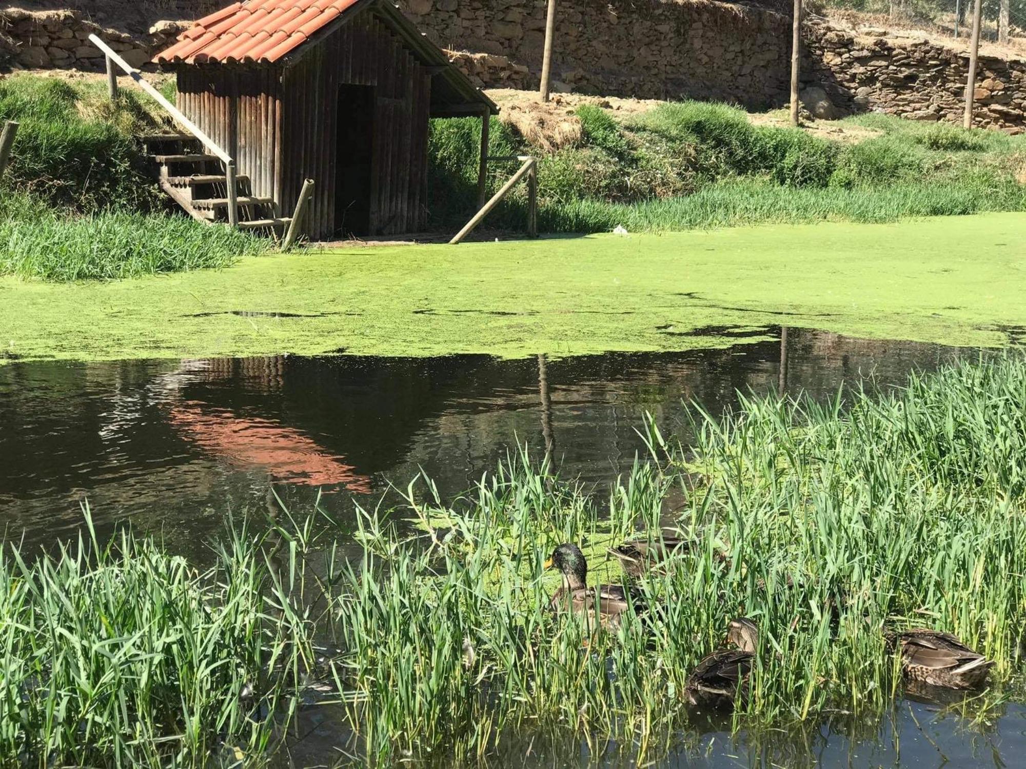 Valonquinta - Agro Hotel & Spa Vila Flor Zewnętrze zdjęcie